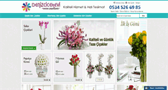 Desktop Screenshot of denizcicekevi.com